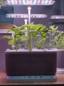 Mini Intelligent Hydroponic Planter Suitable For School, Family, Office, Home, Gift (Colour: black)