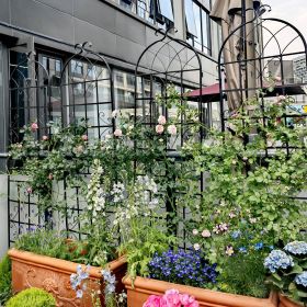 4 Pack Metal Garden Trellis 71" x 19.7" Rustproof Trellis for Climbing Plants Outdoor Flower Support (Color: Black)